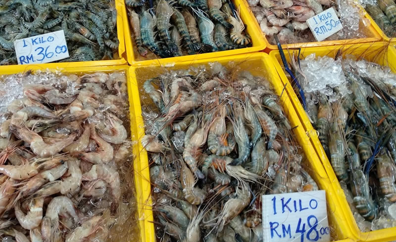 Fresh prawns at the Satok Sunday Market